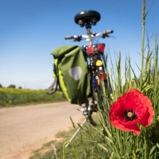 pierwszeństwo przejazdu na skrzyżowaniach równorzędnych